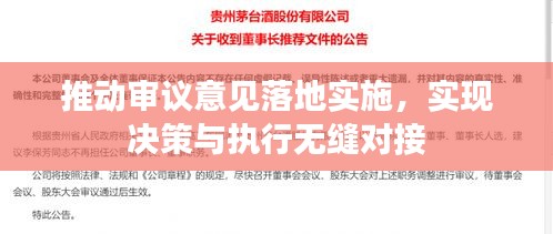 推動(dòng)審議意見落地實(shí)施，實(shí)現(xiàn)決策與執(zhí)行無縫對(duì)接
