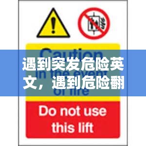 遇到突發(fā)危險英文，遇到危險翻譯 