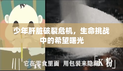 少年肝臟破裂危機(jī)，生命挑戰(zhàn)中的希望曙光