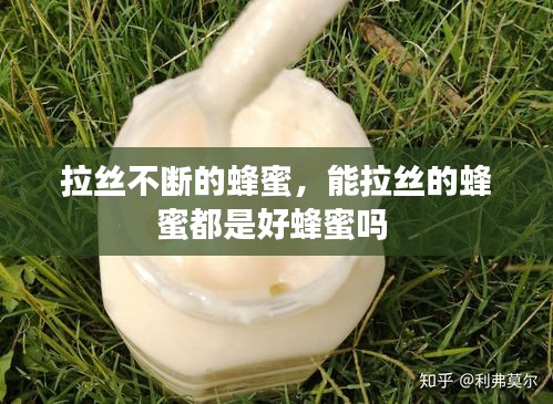 拉絲不斷的蜂蜜，能拉絲的蜂蜜都是好蜂蜜嗎 