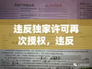 違反獨家許可再次授權，違反獨家代理權合同違約責任 