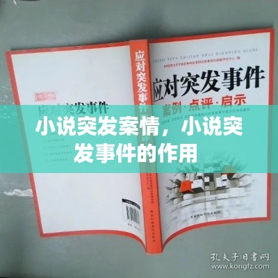 小說突發(fā)案情，小說突發(fā)事件的作用 