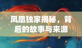 鳳凰獨(dú)家揭秘，背后的故事與來(lái)源探秘