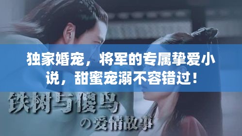 獨(dú)家婚寵，將軍的專屬摯愛小說，甜蜜寵溺不容錯(cuò)過！