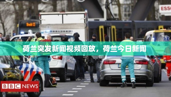 荷蘭突發(fā)新聞視頻回放，荷蘭今日新聞 