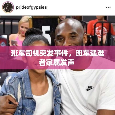 冰清玉潔 第2頁(yè)