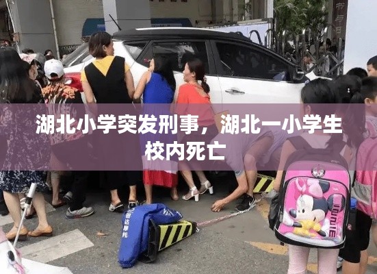 湖北小學(xué)突發(fā)刑事，湖北一小學(xué)生校內(nèi)死亡 