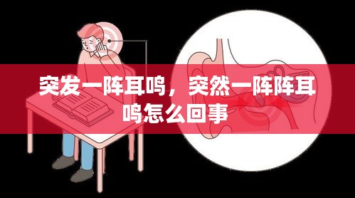 突發(fā)一陣耳鳴，突然一陣陣耳鳴怎么回事 