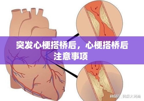 鳥(niǎo)集鱗萃 第2頁(yè)