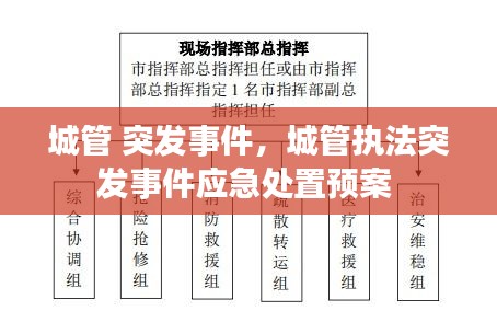 城管 突發(fā)事件，城管執(zhí)法突發(fā)事件應(yīng)急處置預(yù)案 