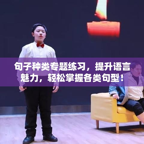 句子種類專題練習(xí)，提升語言魅力，輕松掌握各類句型！