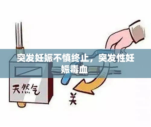 突發(fā)妊娠不慎終止，突發(fā)性妊娠毒血 