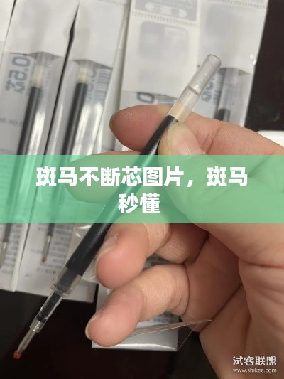 斑馬不斷芯圖片，斑馬秒懂 