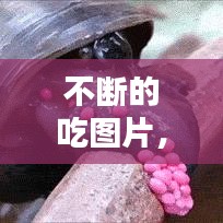 不斷的吃圖片，不停的吃是不是一種病 