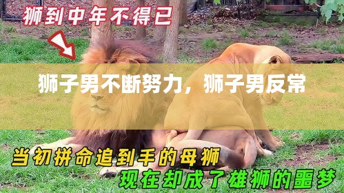 獅子男不斷努力，獅子男反常 