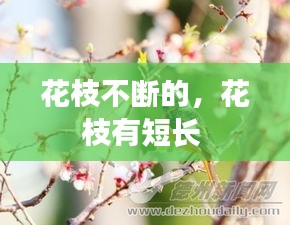 富貴榮華 第2頁