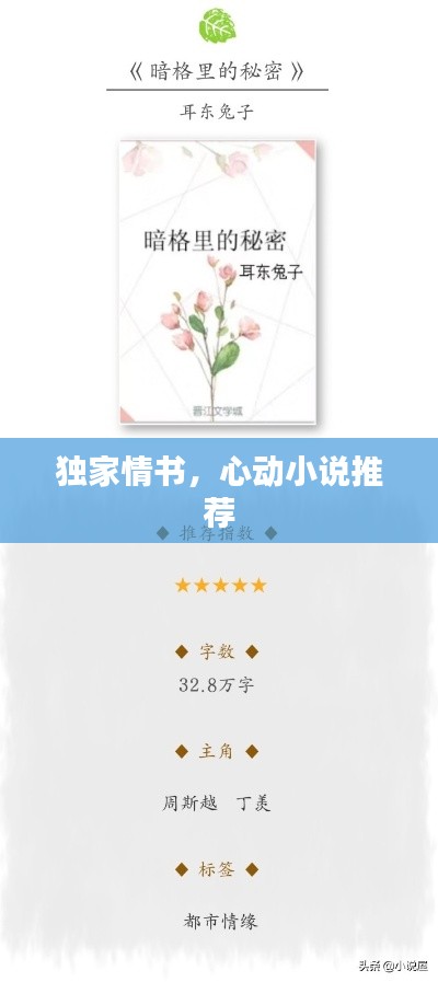 獨家情書，心動小說推薦