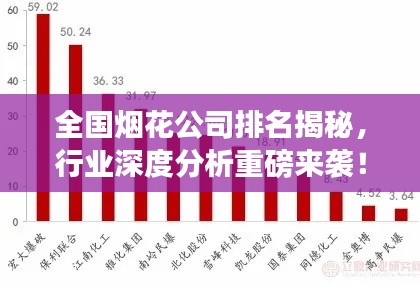 全國(guó)煙花公司排名揭秘，行業(yè)深度分析重磅來(lái)襲！