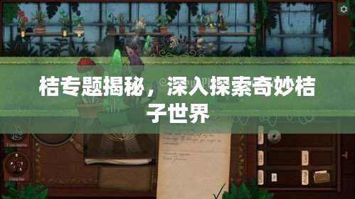 桔專題揭秘，深入探索奇妙桔子世界