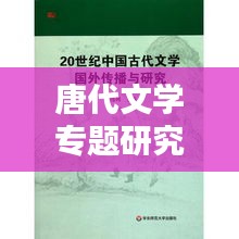 唐代文學(xué)專題研究，深度挖掘古代文學(xué)魅力