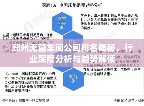 邳州無(wú)菌車間公司排名揭秘，行業(yè)深度分析與趨勢(shì)解讀