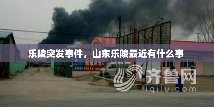 樂(lè)陵突發(fā)事件，山東樂(lè)陵最近有什么事 