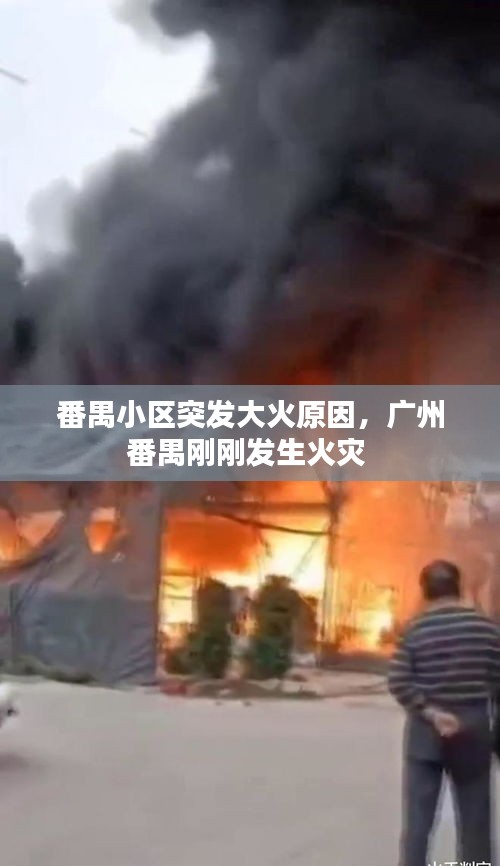 番禺小區(qū)突發(fā)大火原因，廣州番禺剛剛發(fā)生火災(zāi) 