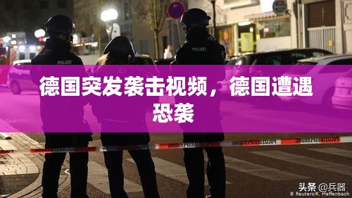 德國突發(fā)襲擊視頻，德國遭遇恐襲 