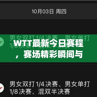 WTT最新今日賽程，賽場(chǎng)精彩瞬間與預(yù)告搶先看！