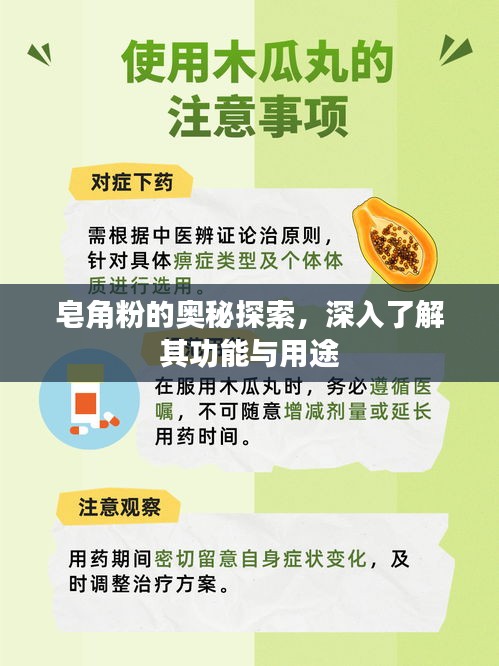 皂角粉的奧秘探索，深入了解其功能與用途