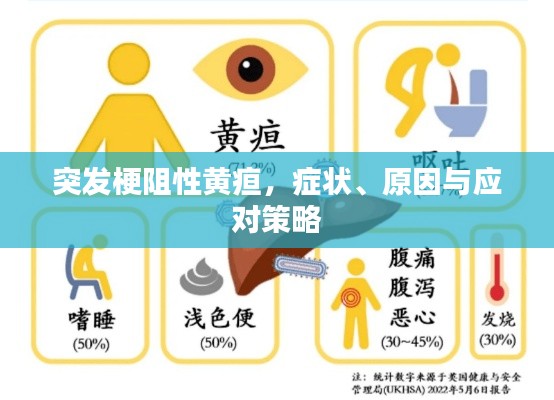 突發(fā)梗阻性黃疸，癥狀、原因與應對策略