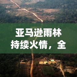 亞馬遜雨林持續(xù)火情，全球面臨嚴峻生態(tài)挑戰(zhàn)