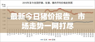 最新今日豬價(jià)報(bào)告，市場走勢一網(wǎng)打盡