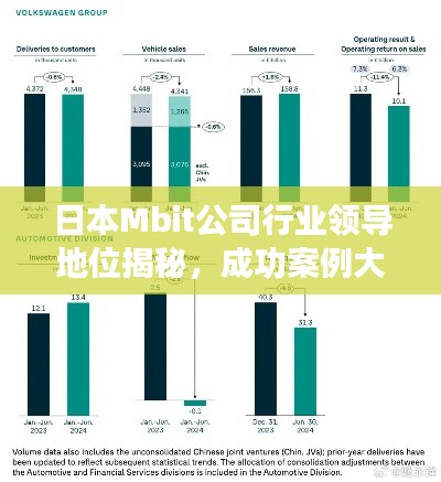 日本Mbit公司行業(yè)領(lǐng)導(dǎo)地位揭秘，成功案例大解析
