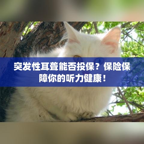 突發(fā)性耳聾能否投保？保險(xiǎn)保障你的聽力健康！