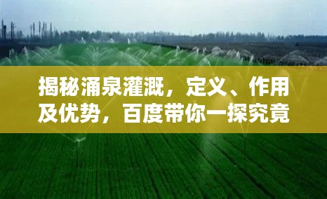 揭秘涌泉灌溉，定義、作用及優(yōu)勢，百度帶你一探究竟！
