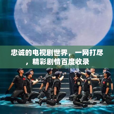 忠誠(chéng)的電視劇世界，一網(wǎng)打盡，精彩劇情百度收錄