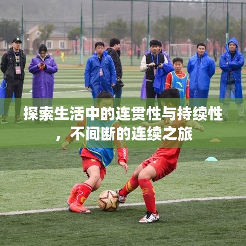 探索生活中的連貫性與持續(xù)性，不間斷的連續(xù)之旅