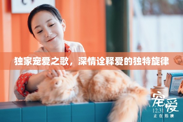 獨(dú)家寵愛之歌，深情詮釋愛的獨(dú)特旋律