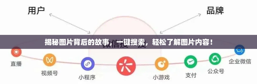 揭秘圖片背后的故事，一鍵搜索，輕松了解圖片內容！
