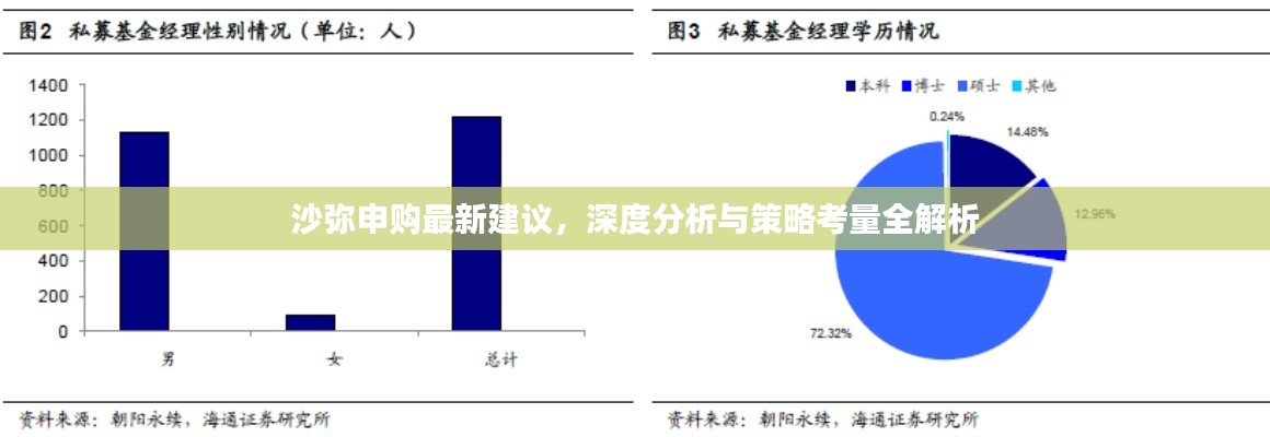 沙彌申購(gòu)最新建議，深度分析與策略考量全解析