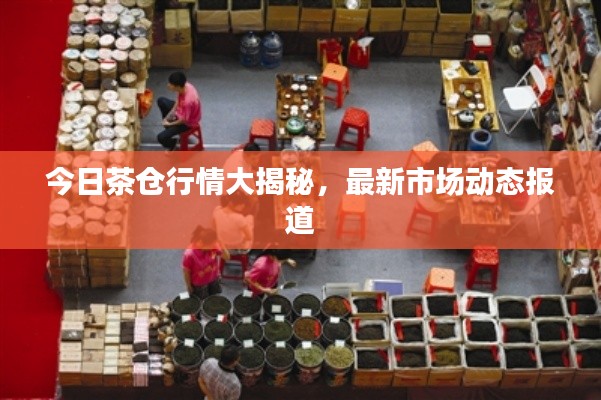 今日茶倉行情大揭秘，最新市場動態(tài)報道