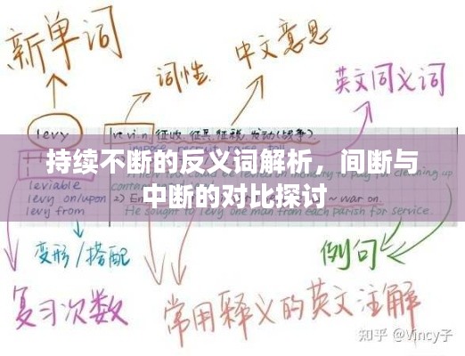 持續(xù)不斷的反義詞解析，間斷與中斷的對比探討