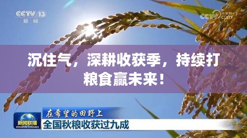 沉住氣，深耕收獲季，持續(xù)打糧食贏未來！