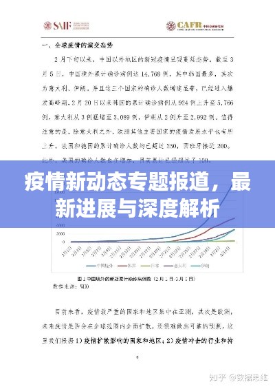 疫情新動態(tài)專題報道，最新進(jìn)展與深度解析