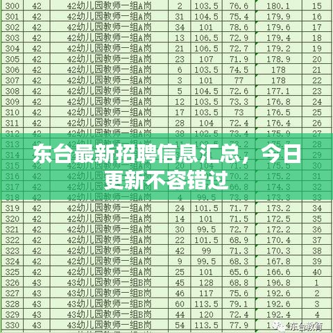東臺(tái)最新招聘信息匯總，今日更新不容錯(cuò)過