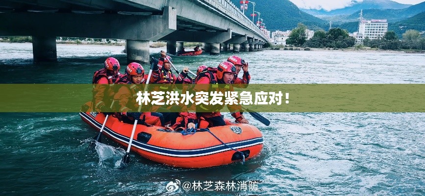 林芝洪水突發(fā)緊急應(yīng)對！