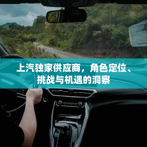 上汽獨(dú)家供應(yīng)商，角色定位、挑戰(zhàn)與機(jī)遇的洞察