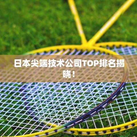 日本尖端技術(shù)公司TOP排名揭曉！
