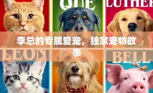 李總的專屬愛寵，獨(dú)家寵物故事